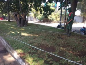 Kebersihan Area Pertamanan, Halaman dan saluran